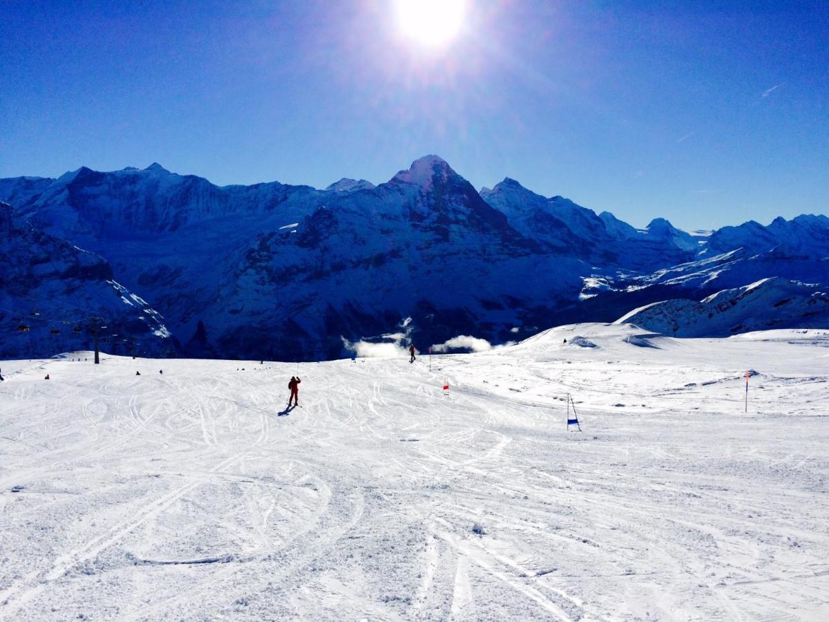 Luxury, New - Amazing Views Grindelwald Eiger Jungfrau Moench Apartman Kültér fotó