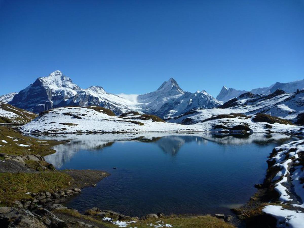 Luxury, New - Amazing Views Grindelwald Eiger Jungfrau Moench Apartman Kültér fotó